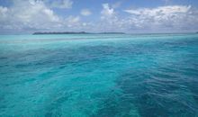 我和大海的故事