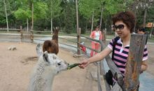 北京动物园游记