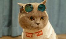 我最讨厌的一件事