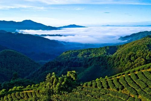 我们祖国的风景