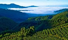 我们祖国的一道风景线