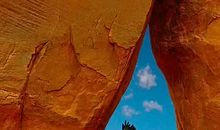 这世界不只有你