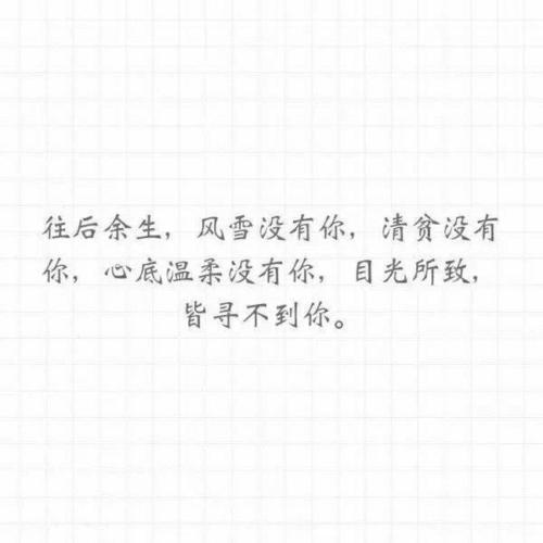 我心中的风雨