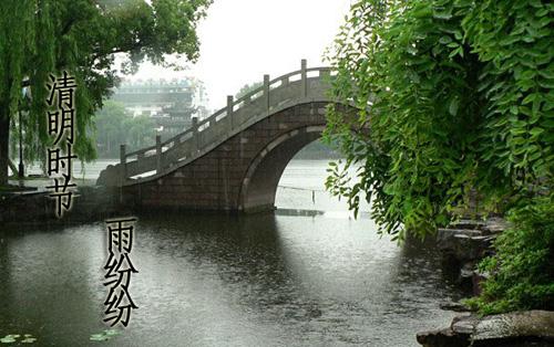 希望在细雨中
