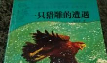 一只猎雕的遭遇读后感