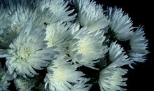 去天堂的路上，走好