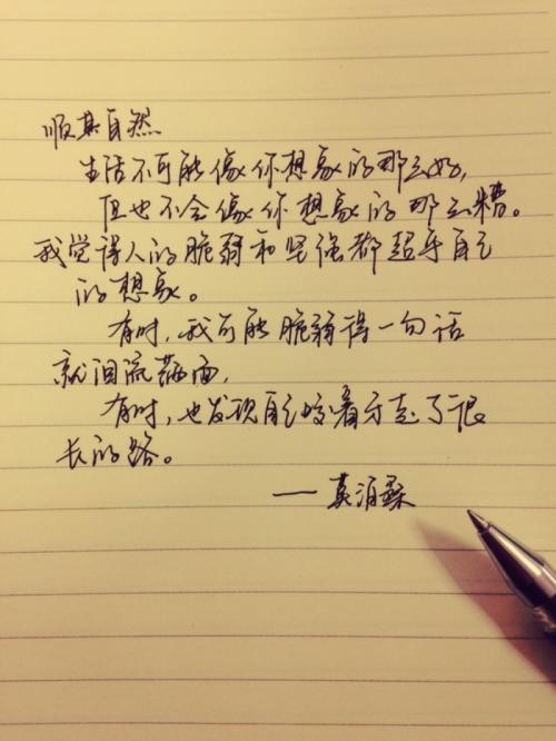 我最期待的一天