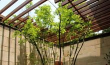 让幸福永驻我的家