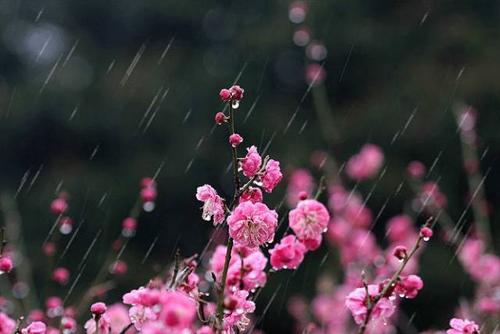 春雨的声音