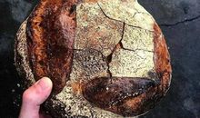 未来城里的面包师