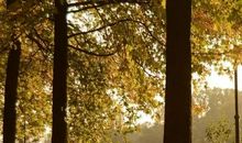 欣赏平凡的自己