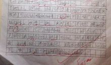 分辨鸡蛋生熟作文