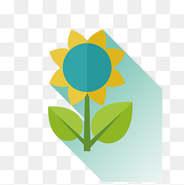 可爱的小花
