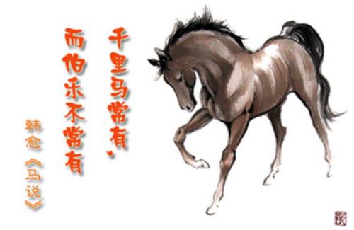 伯乐和千里马