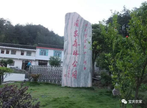 游新韶龙山