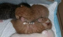 手持粉笔的天使