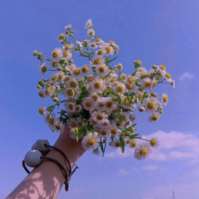 未来城市中鲜花的梦想