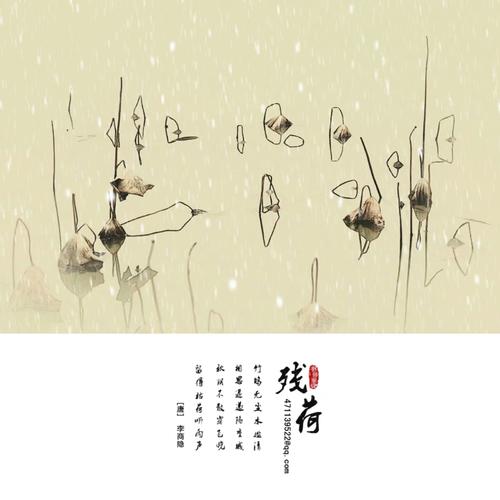 尽管死了，青年还是香