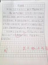 关于努力工作和认真的作文