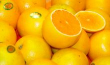 我喜欢吃的水果——橙子