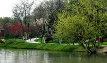 美丽的青枫公园