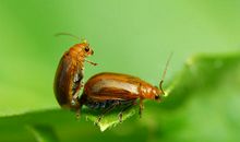 最美的生命乐章