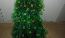 关于饮料瓶的作文