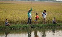 爸爸的童年趣事