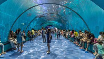 极地海洋公园之旅