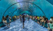 极地海洋公园游玩