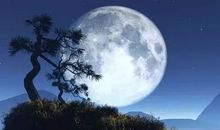 我心中的明月光