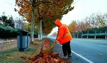 大自然的环卫工人