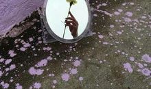 你是第三种角色