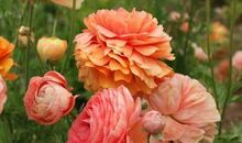 留一点余地给自己