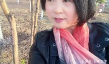 《生命终将静默安然》读后感