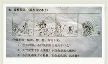 小白兔的看图写话