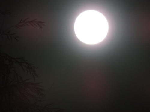 观看秋天和月亮