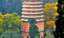 描写古塔的作文