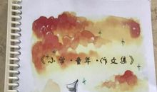 五味杂陈的暑假