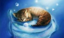 我努力读懂时光