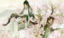 桃花我想对你说