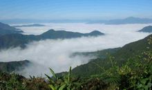 大山深处的智慧