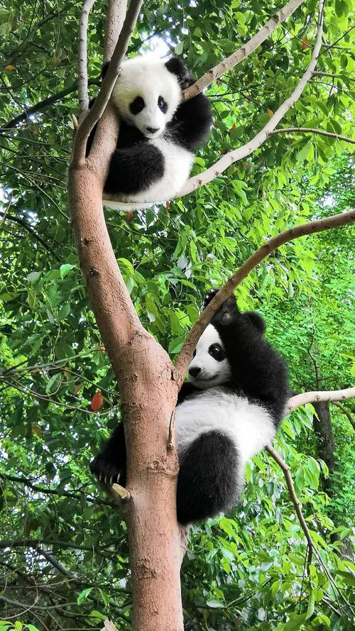 冬天的呐喊