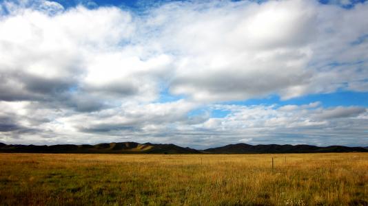 参观若尔盖大草原