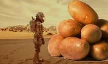 我在火星上居住