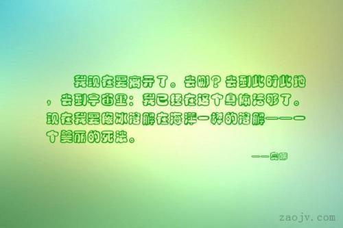给我一个发现美丽的窗口
