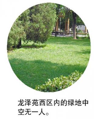 沉迷于梦想