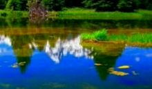 心底流过一股清泉