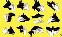 好玩的手影游戏