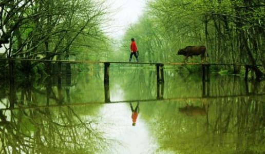 春季乡村风景如画
